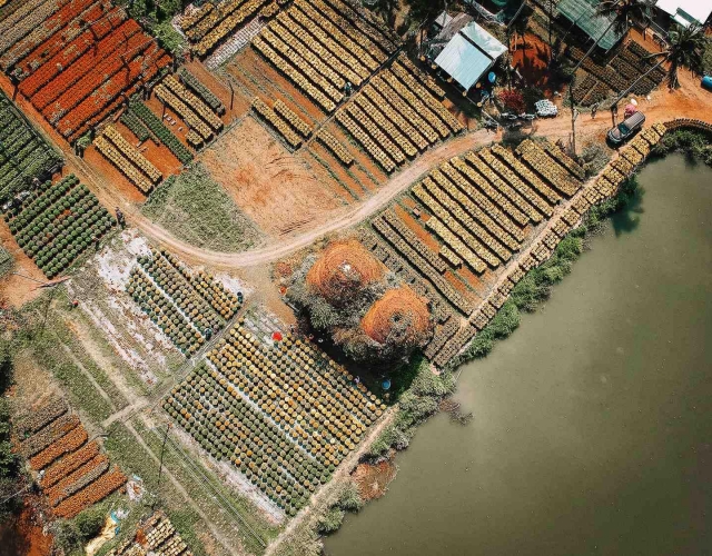 LÀNG VĂN HÓA DU LỊCH CHỢ LÁCH CÓ GÌ?