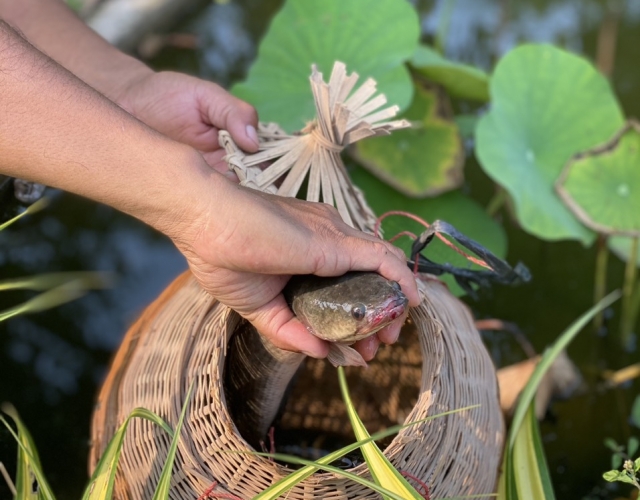 Trải Nghiệm Bắt Cá