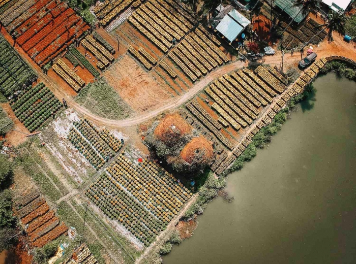 LÀNG VĂN HÓA DU LỊCH CHỢ LÁCH CÓ GÌ?