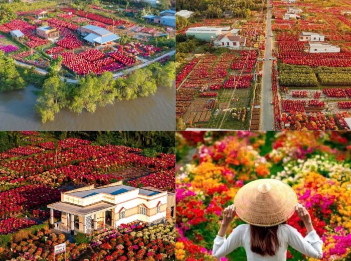 DU XUÂN 2026 TẠI LÀNG HOA CÁI MƠN CÙNG ROOSTER MEKONG RESORT