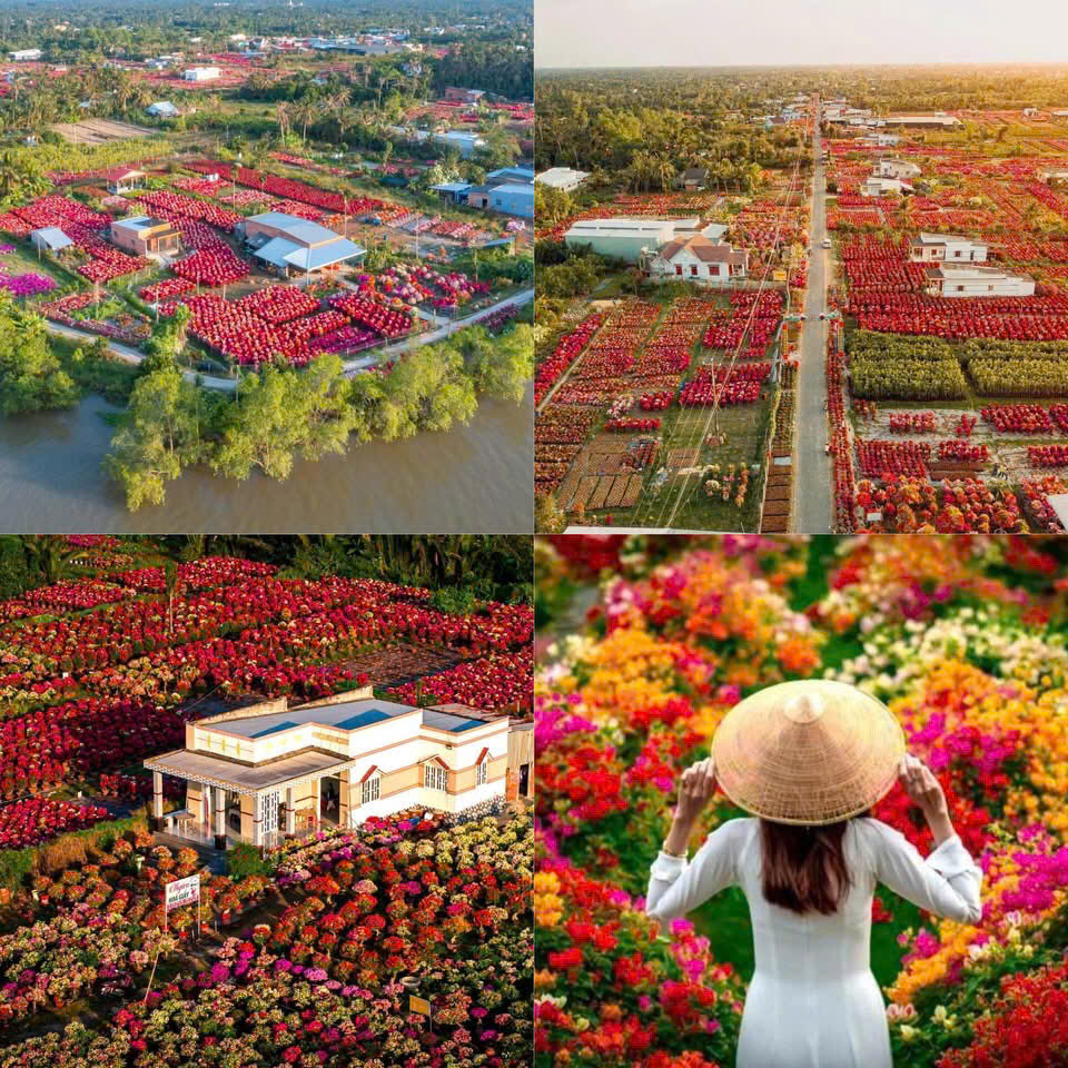 DU XUÂN 2026 TẠI LÀNG HOA CÁI MƠN CÙNG ROOSTER MEKONG RESORT